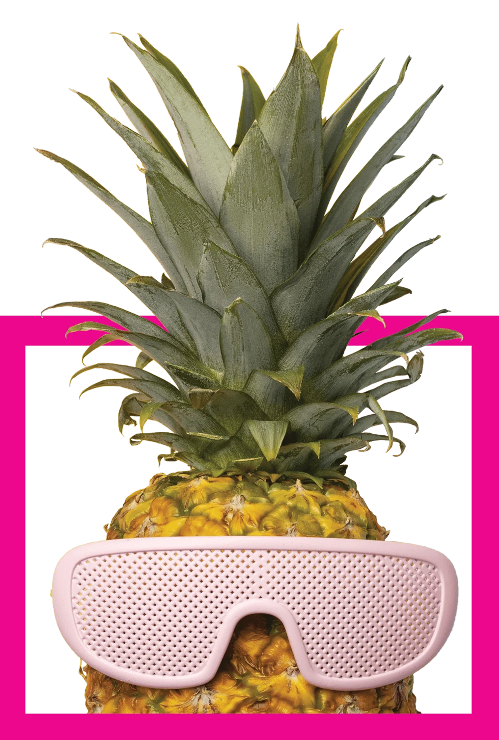 la piña de tabula rasa, con gafas.