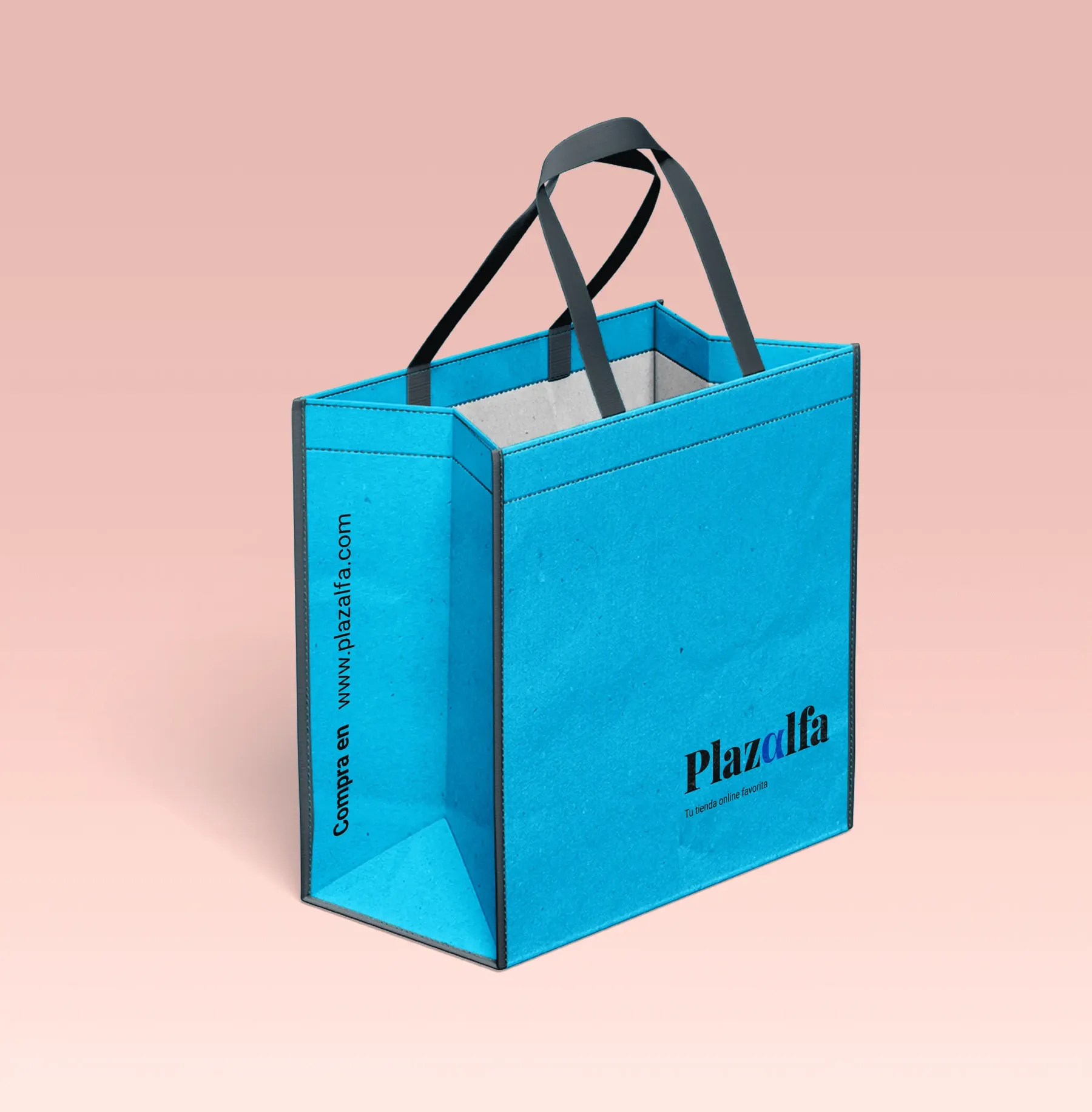 bolsa de reparto