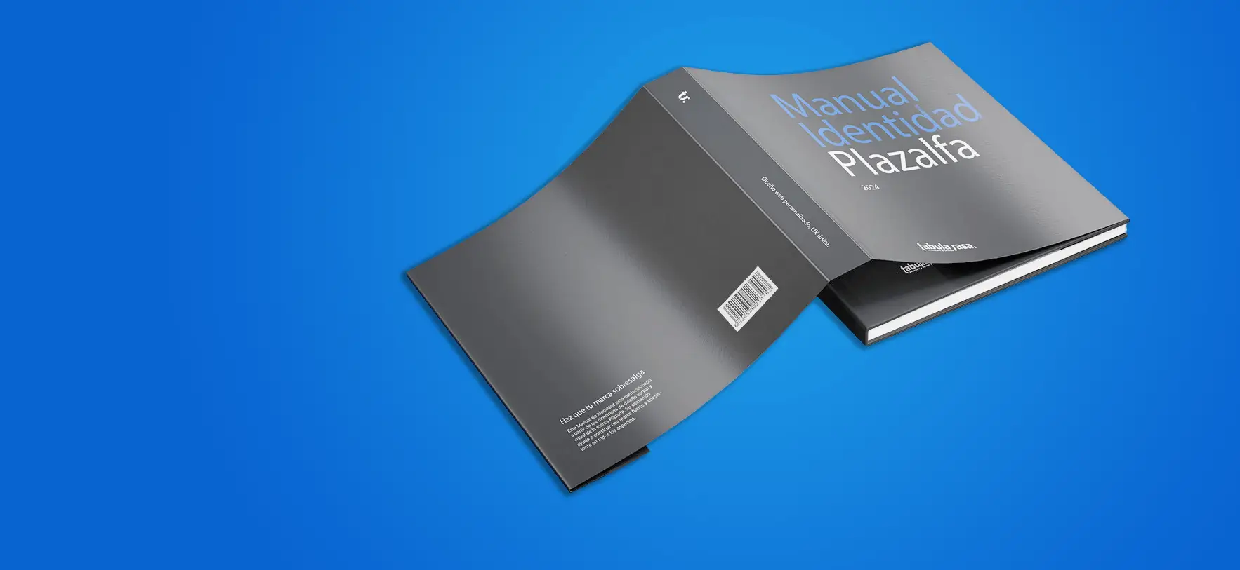 Imagen del manual de marca de Plazalfa